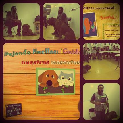 18699890_1952010838415715_7035962703902970221_n