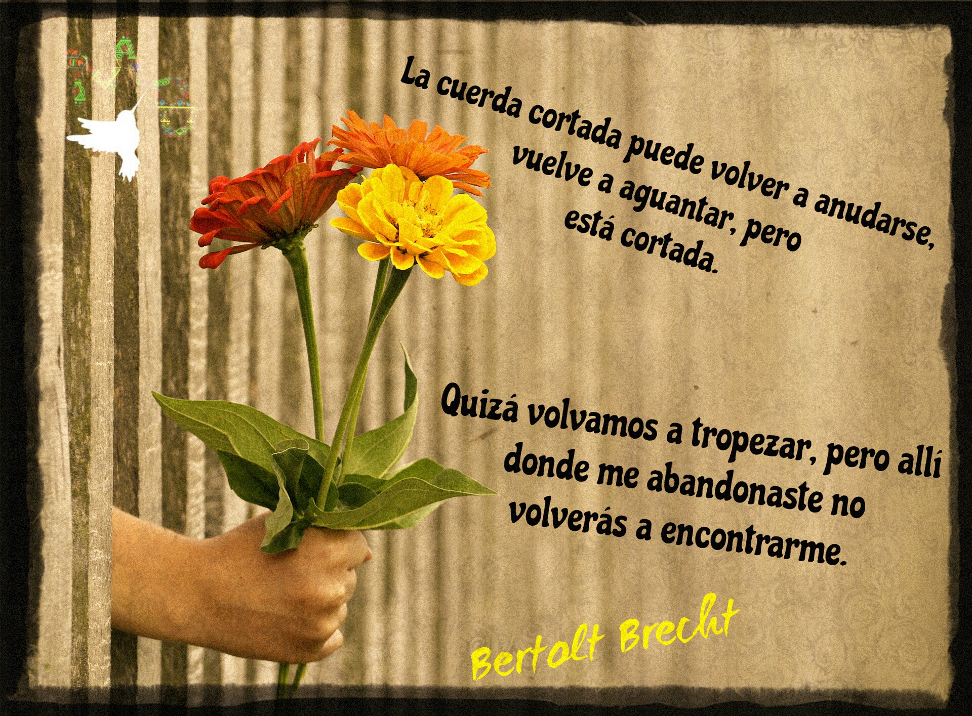 Poesía para Todxs: La Cuerda Cortada