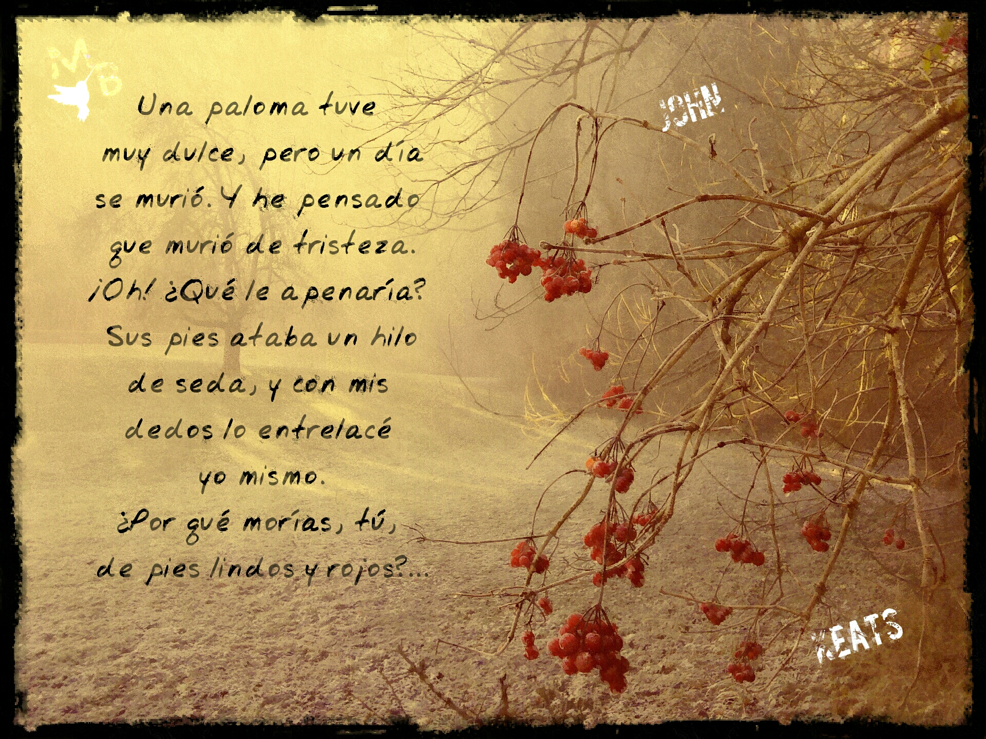Poesía para Todxs: La Paloma